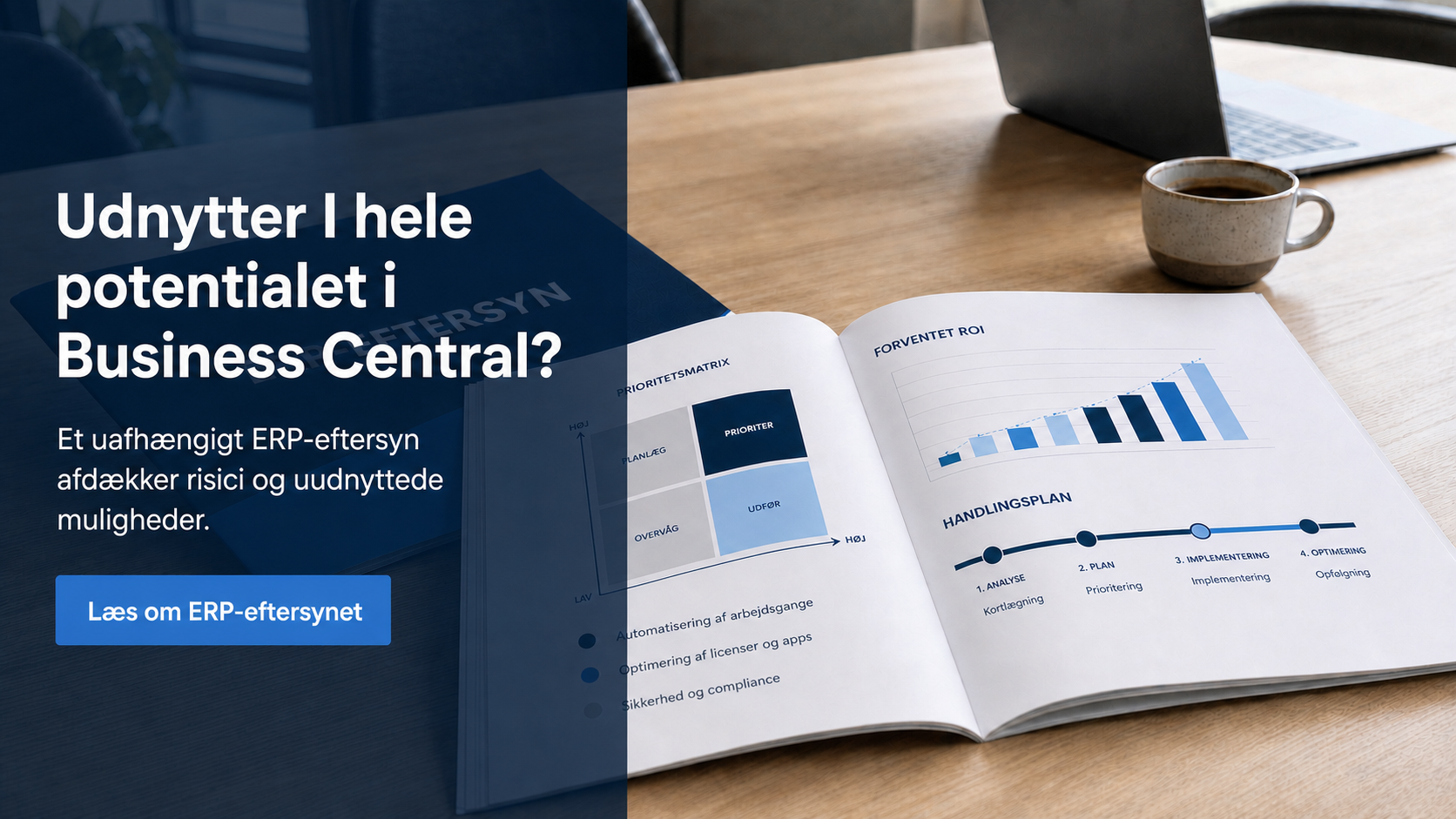 ERP-eftersyn rapport